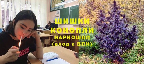 сатива Сосновоборск