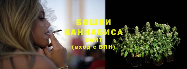 сатива Сосновоборск