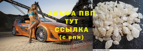 сатива Сосновоборск