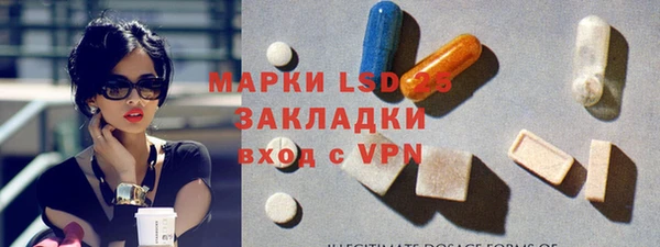 сатива Сосновоборск